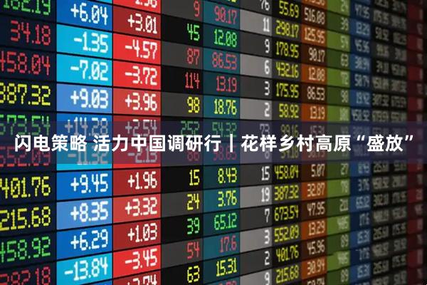 闪电策略 活力中国调研行｜花样乡村高原“盛放”