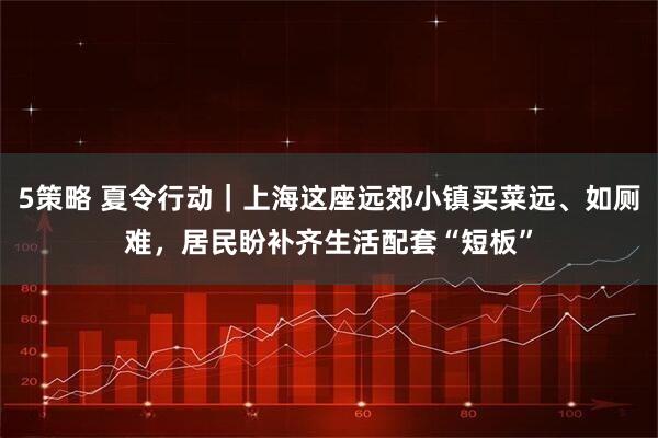 5策略 夏令行动｜上海这座远郊小镇买菜远、如厕难，居民盼补齐生活配套“短板”