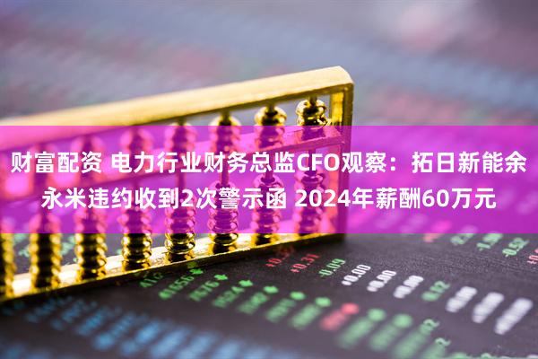 财富配资 电力行业财务总监CFO观察：拓日新能余永米违约收到2次警示函 2024年薪酬60万元