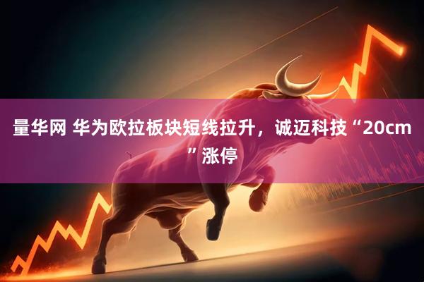 量华网 华为欧拉板块短线拉升，诚迈科技“20cm”涨停