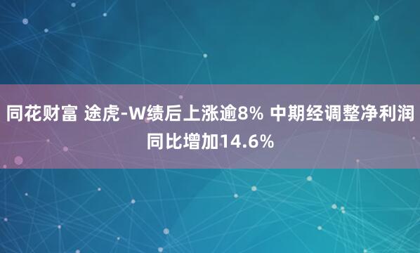 同花财富 途虎-W绩后上涨逾8% 中期经调整净利润同比增加14.6%