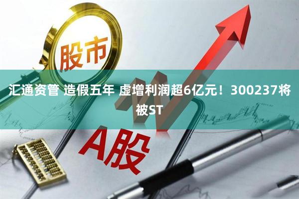 汇通资管 造假五年 虚增利润超6亿元！300237将被ST